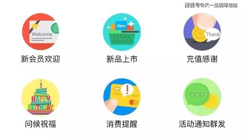 融合短信營銷技巧與信息系統(tǒng)運(yùn)行維護(hù)服務(wù)，打造穩(wěn)固顧客關(guān)系